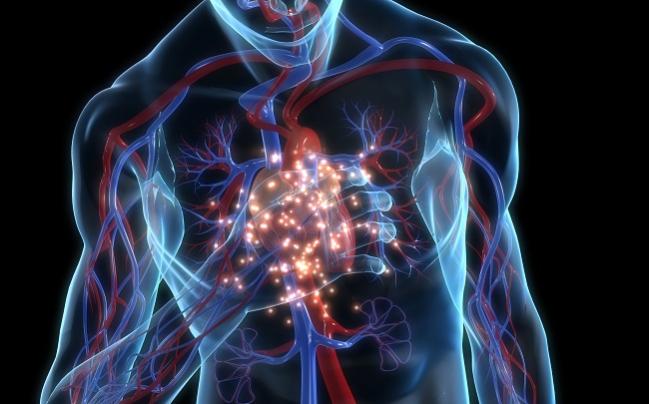 Methotrexate, an Anti-inflammatory, Fails to Lower Risk of Cardiovascular Events: CIRT