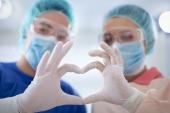 Where Theory Meets Practice: Getting to the Heart of the Heart Team